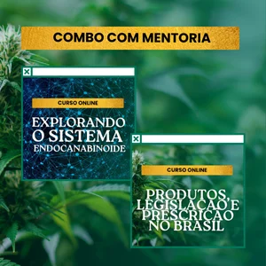 Pacote com Mentoria Síncrona